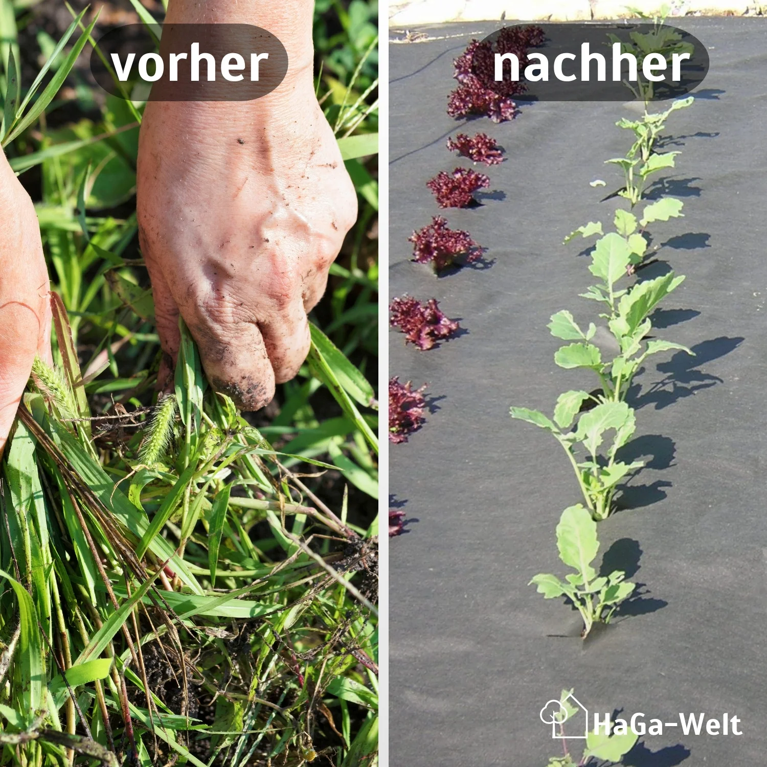 Unkrautvlies 80 g/m² – so bleiben Ihre Blumenbeete unkrautfrei - Image 3