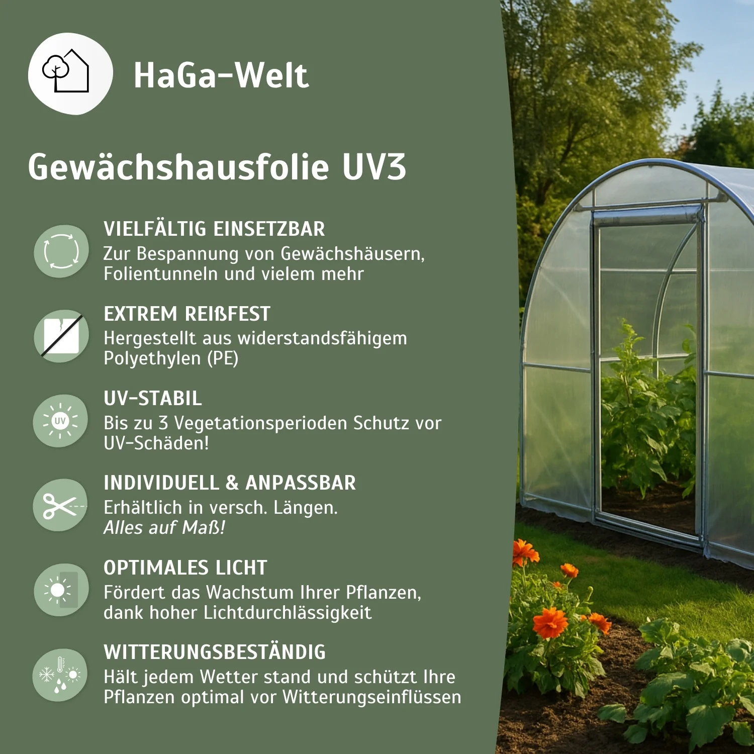 UV3 Gewächshausfolie – reißfest und witterungsbeständig - Image 4