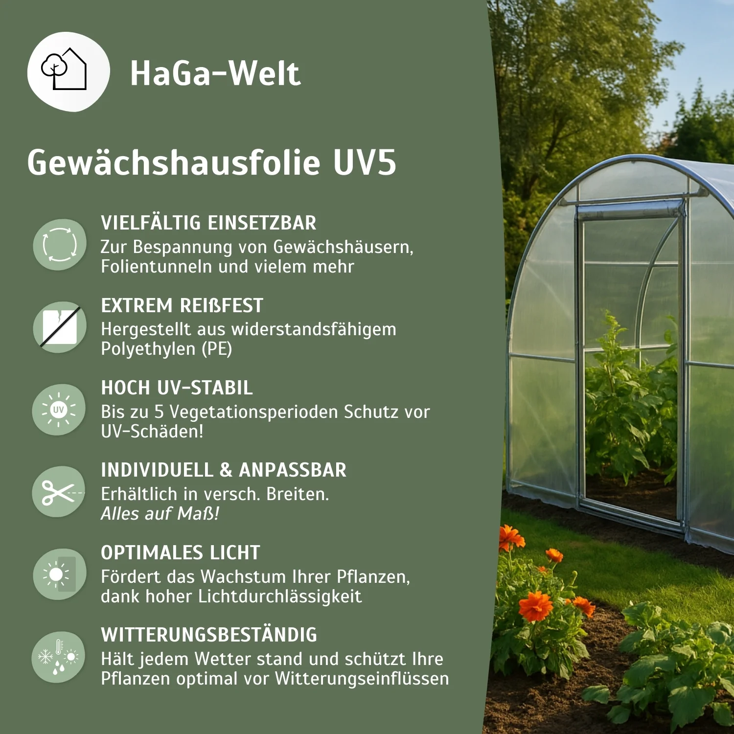 UV5 Gewächshausfolie – die langlebige Folie für Ihr Gewächshaus - Image 4