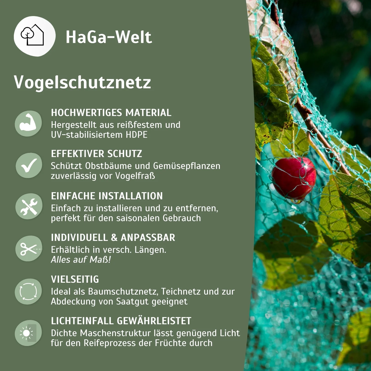 Vogelschutznetz – effektiver Schutz vor Vogelfraß - Image 4