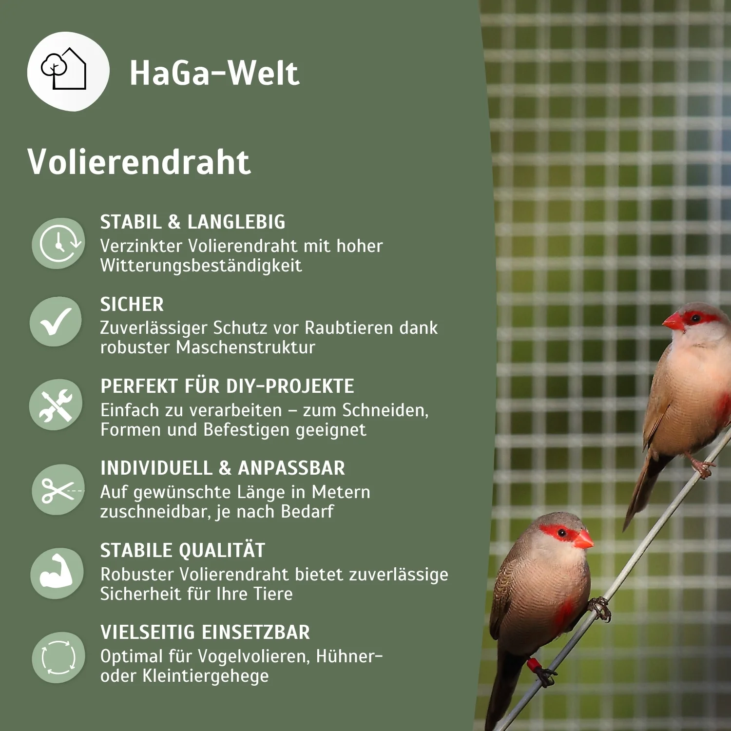 Volierendraht – Stabiler Draht für Ihre Voliere - Image 4