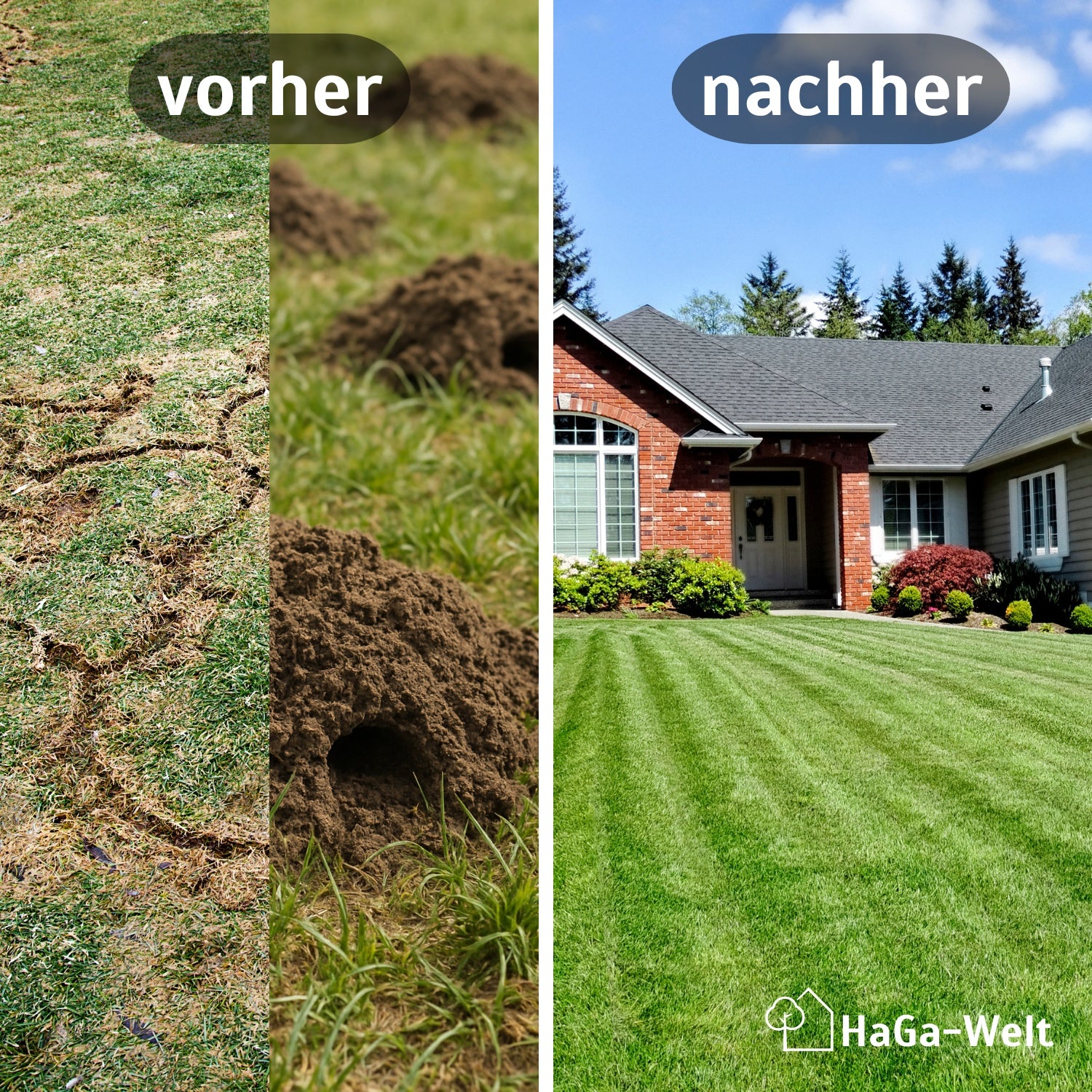 Wühlmausgitter - Image 3