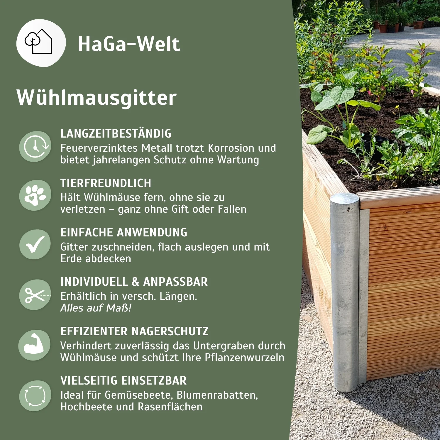 Wühlmausgitter - Image 4