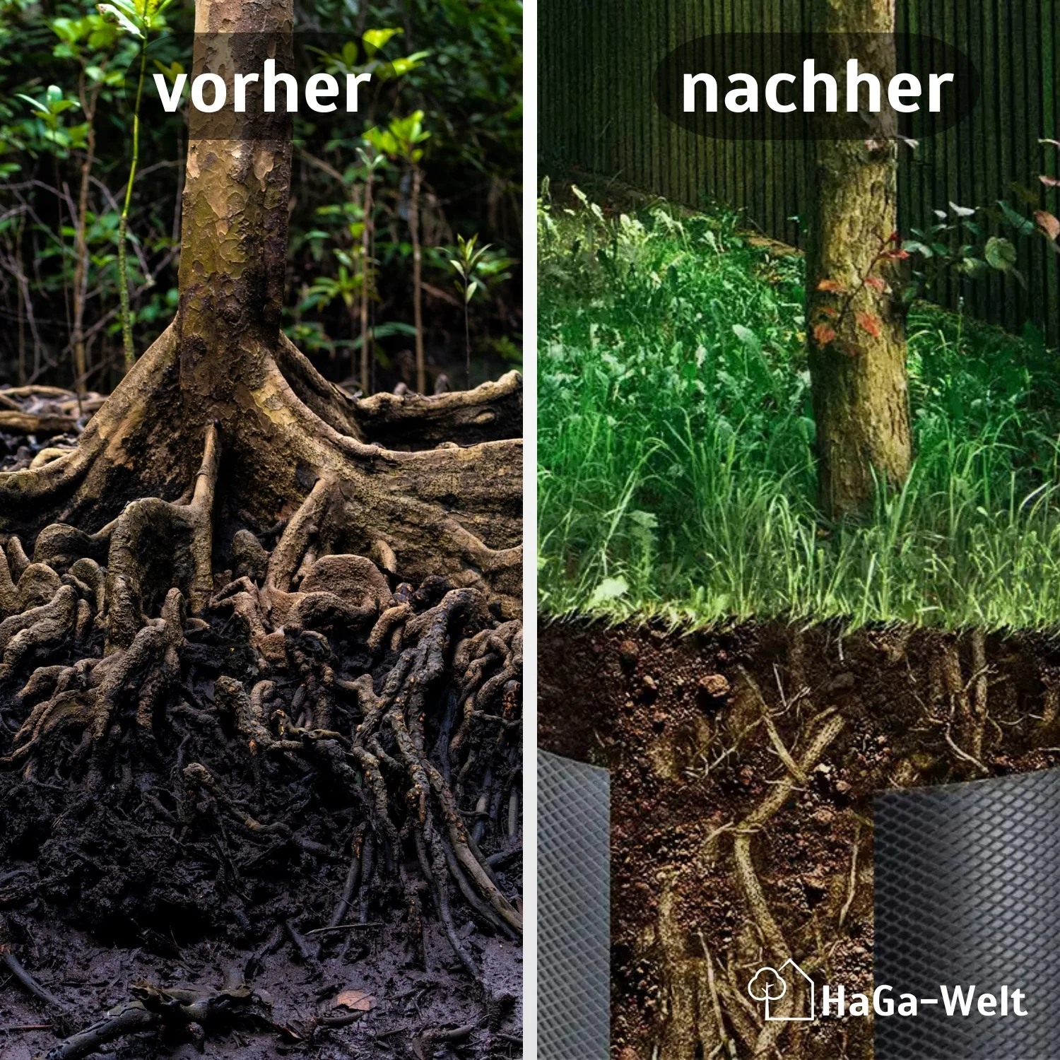 Wurzelsperre – gegen unkontrolliertes Wurzelwachstum - Image 3